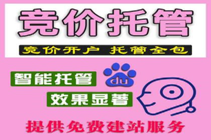 百度推广服务费案例：揭秘大品牌推广成功秘诀